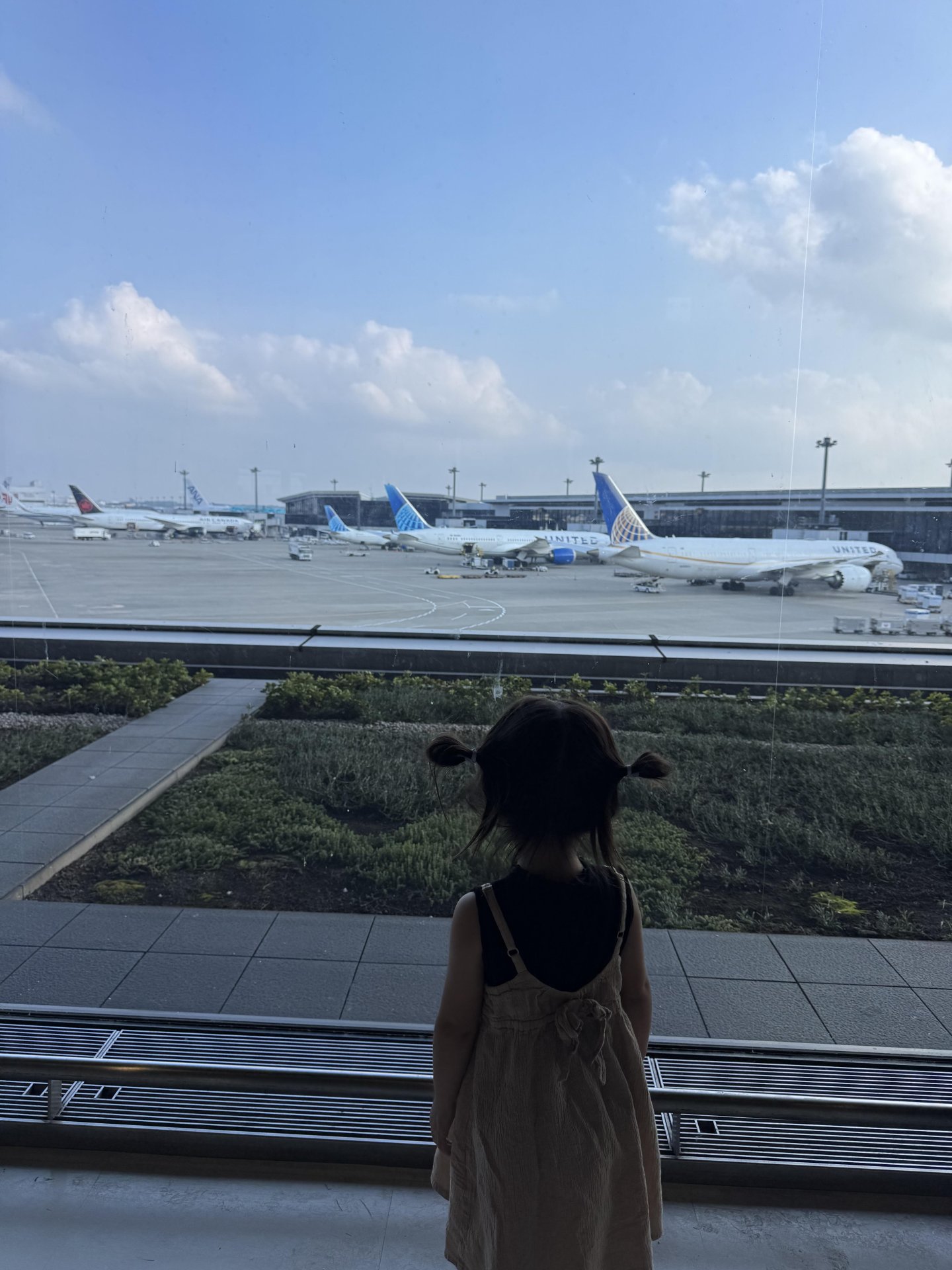 わが家の夏休み