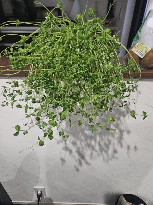 なんだかよくわからないブログ