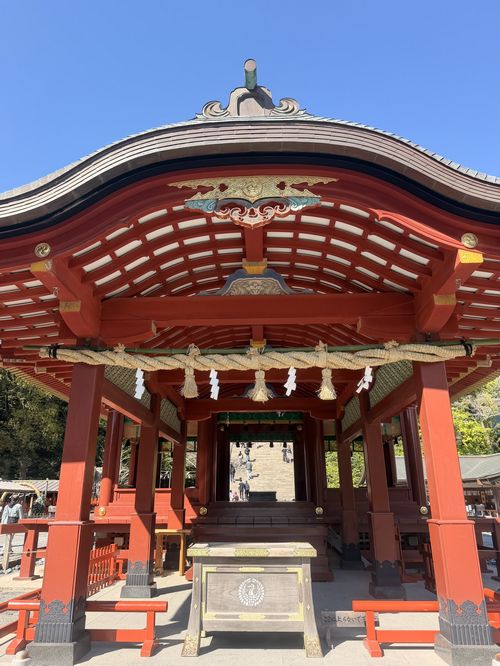 鎌倉・鶴岡八幡宮で春を感じる一日🌸